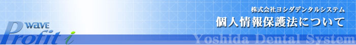 ���V�_�f���^���V�X�e���@�l���ی�@�ɂ���